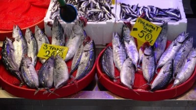 Trabzon'da sezon başından bug&uuml;ne kadar avlanan palamut miktarı belli oldu