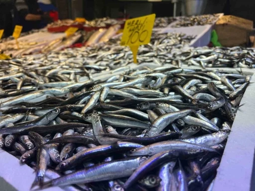 Balık&ccedil;ılardan hamsi i&ccedil;in "Tuzlama" &ouml;nerisi