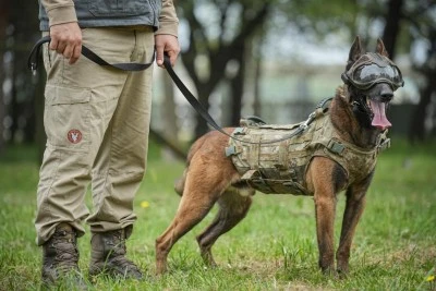 TSK'da g&ouml;rev yapan can dostlarımız 