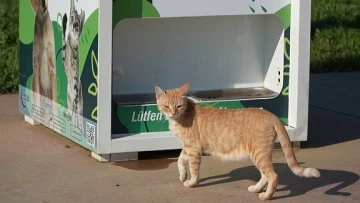 T&uuml;m Bursalılar 'Can dostlarımız' i&ccedil;in g&ouml;rev başına! 