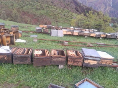 Tunceli Arı Yetiştiricileri Birliği Başkanı Doğan, "Fırtınadan zarar g&ouml;ren arıcılar TARSİM&rsquo;e başvurmalı"
