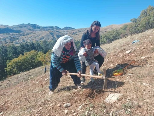 Tunceli&rsquo;de bin meşe palamudu toprakla buluşturuldu
