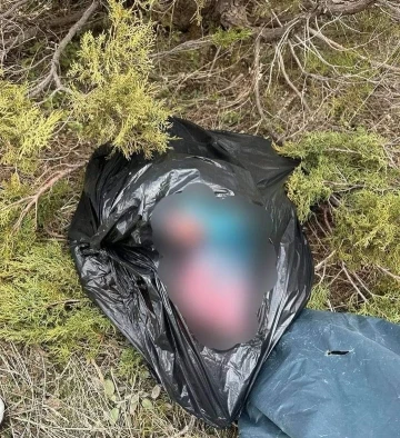 Tunceli&rsquo;de ka&ccedil;ak avcılık yapan 2 şahsa 308 bin lira ceza kesildi
