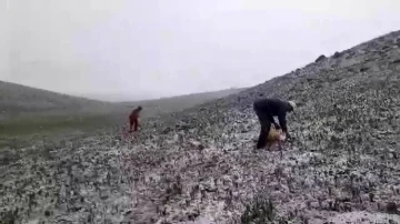 Tunceli&rsquo;de mayısın ortasında kar yağdı
