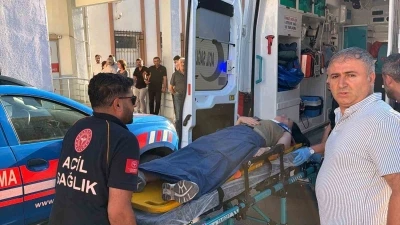 Tur minib&uuml;s&uuml; şarampole yuvarlandı: 13 yaralı