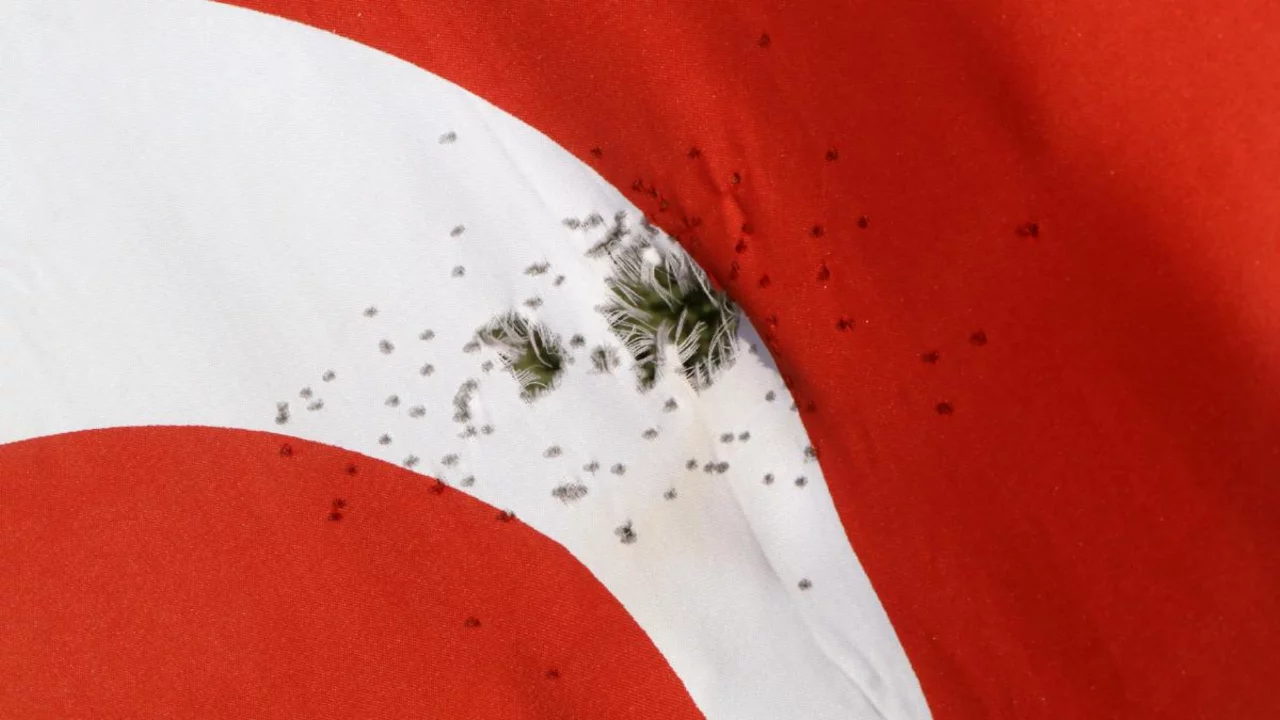 T&uuml;rk bayrağına &ccedil;irkin saldırı! 