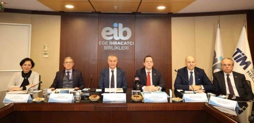 T&uuml;rk inciri uluslararası standartlara g&ouml;re &uuml;retiliyor
