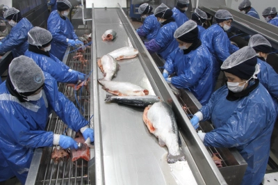 T&uuml;rk Somonunda Hedef İhracatı 1 Milyar Doların &Uuml;zerine Taşımak