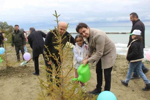 T&uuml;rkeli&rsquo;de y&uuml;zlerce fidan toprakla buluştu
