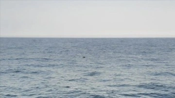 T&uuml;rkiye, Bulgaristan ve Romanya, Karadeniz'deki mayınların temizlenmesi i&ccedil;in anlaşma imzalayaca