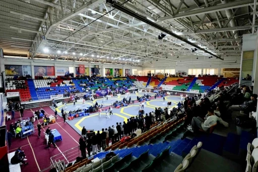 T&uuml;rkiye B&uuml;y&uuml;kler Taekwondo Şampiyonası sona erdi
