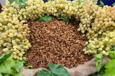 T&uuml;rkiye, &Ccedil;ekirdeksiz Kuru &Uuml;z&uuml;mde  2024/25 Sezonunda Tarihe Ge&ccedil;ti