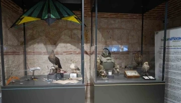 T&uuml;rkiye&rsquo;de bir ilk: Biyomimetik Proje Yarışması başlıyor
