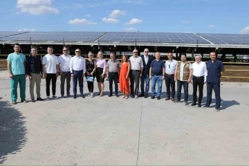 T&uuml;rkiye&rsquo;de yılda 21 milyon ton s&uuml;t &uuml;retiliyor