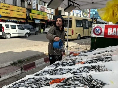 T&uuml;rkiye'den ka&ccedil;an hamsi geri d&ouml;nd&uuml;