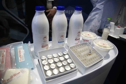 T&uuml;rkiye kendi mayası ile yoğurt &uuml;retecek
