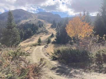 T&uuml;rkiye&rsquo;nin en uzun dağ bisikleti rotası Kastamonu&rsquo;da oluşturulacak
