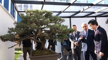 T&uuml;rkiye&rsquo;nin ilk, Avrupa&rsquo;nın en b&uuml;y&uuml;k bonsai m&uuml;zesi Yalova&rsquo;da a&ccedil;ıldı