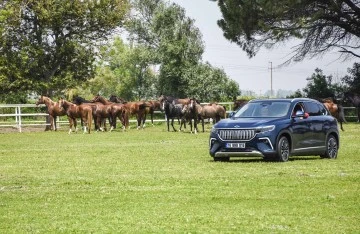 T&uuml;rkiye'nin şampiyon atları Bursa'da TOGG'la yarıştı 