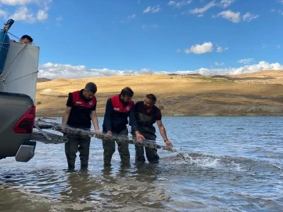 T&uuml;rkiye n&uuml;fusu kadar balık deniz ve g&ouml;llere bırakıldı