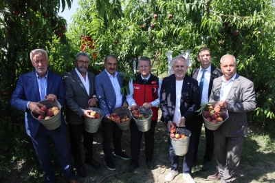T&uuml;rkiye Şeftali ve Nektarinde 250 Milyon Dolar İhracat Hedefi Koydu