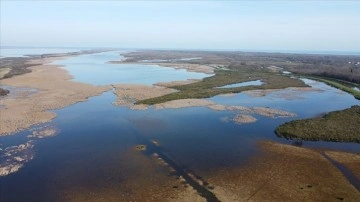 T&uuml;rkiye'de 105 sulak alan bulunuyor