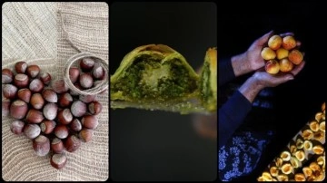 T&uuml;rkiye'nin coğrafi değerleri Avrupa'da tescil sırasında