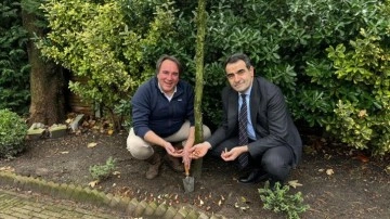 T&uuml;rkiye'nin Lahey B&uuml;y&uuml;kel&ccedil;iliğinin bah&ccedil;esi "İstanbul Lalesi" ile renklenecek