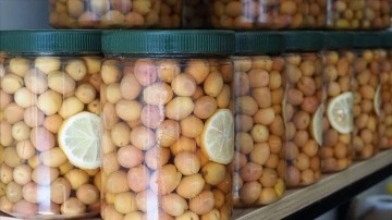 T&uuml;rkiye'nin zeytin ve zeytinyağı ihracatı ilk &ccedil;eyrekte y&uuml;zde 156 arttı