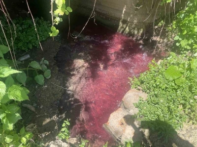 Turşu sulu renkli dereye &ccedil;ift&ccedil;iler de uzmanlar da tepkili
