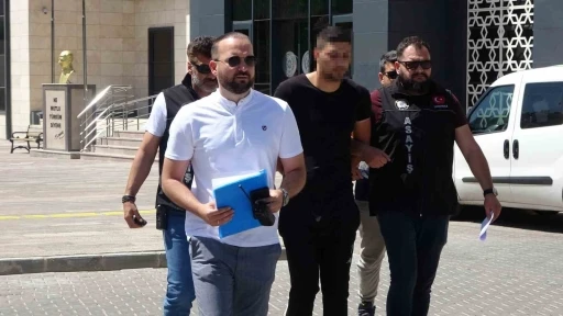 Tutuklu sanık Can Birol: "Kendimi korumaya &ccedil;alıştım, kayınpederimi kasıtlı olarak &ouml;ld&uuml;rmedim"
