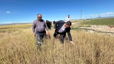 Tuz G&ouml;l&uuml; Ovası&rsquo;nda tarım arazilerinde dolu hasarı tespit &ccedil;alışması başlatılıyor