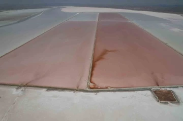 Tuz G&ouml;l&uuml; pembe renge b&uuml;r&uuml;nd&uuml;