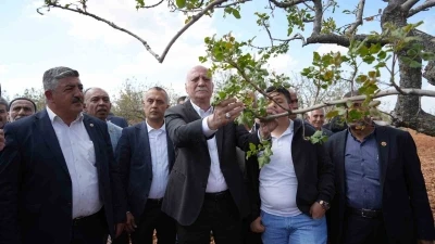 TZOB Genel Başkanı Bayraktar, Gaziantep&rsquo;te dondan etkilenen bah&ccedil;eleri inceledi

