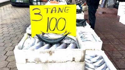 &Uuml;&ccedil; palamut 100 TL'den satılmaya başlandı