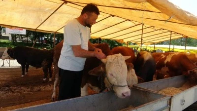 &Uuml;lke genelinde t&uuml;m hayvan pazarları kapatıldı