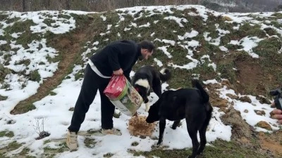 Uludağ'da a&ccedil; kalan k&ouml;peklerin imdadına hayvanseverler yetişti