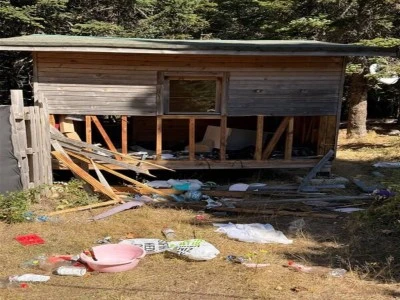 Uludağ'da barakaya giren ayı eşyaları par&ccedil;aladı