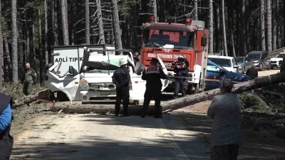 Uludağ&rsquo;da inanılmaz olay...Kesilen ağa&ccedil; seyir halindeki kamyonetin &uuml;zerine devrildi: 1 &ouml;l&uuml;
