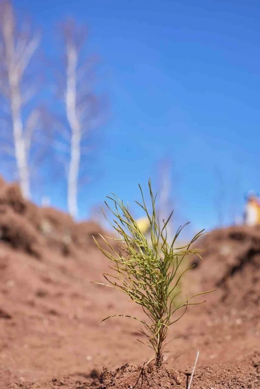 Uludağ Elektrik dijitalleşme &ccedil;alışmalarıyla doğaya katkı sağlıyor