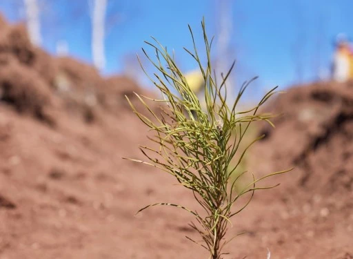 Uludağ Elektrik'ten yeşil &ccedil;evre i&ccedil;in &ccedil;alışma