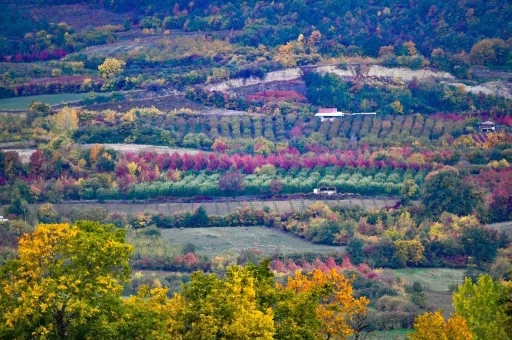Uludağ&rsquo;ın eteklerinde m&uuml;thiş g&ouml;r&uuml;nt&uuml;ler