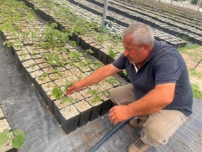 Uludağ'ın eteklerinden d&uuml;nyaya a&ccedil;ılacaklar 