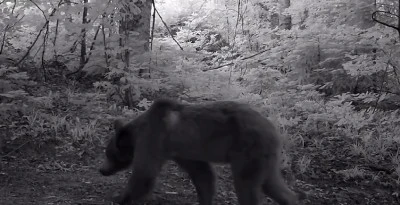  Uludağ'ın zirvesi doğal hayvanat bah&ccedil;esi