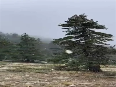 Uludağ sezonun ilk karıyla buluştu