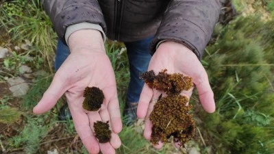 Uludağ &Uuml;niversitesi iklim değişikliği ve uzay &ccedil;alışmaları i&ccedil;in &ouml;nemli proje