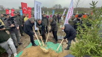 Uludağ &Uuml;niversitesi'nde yanan 80 hektarlık alan ağa&ccedil;landırıldı