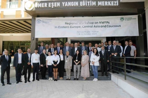 Uluslararası Odun Dışı Orman &Uuml;r&uuml;nleri &Ccedil;alıştayı Fethiye&rsquo;de başladı
