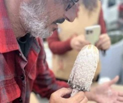 &Uuml;nl&uuml; mikolog Jilber Barut&ccedil;iyan Uludağ&rsquo;ın eşsiz mantarlarını keşfetti