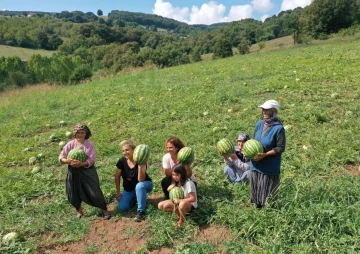 &Uuml;reticilere &ccedil;ilek bah&ccedil;esi tesisi ve karpuz tohumu desteği
